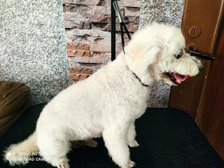 Meliton Pet grooming Salon