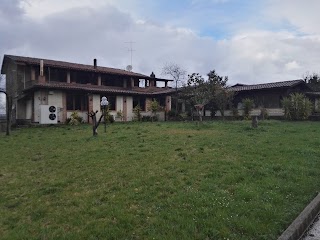 Tenuta San Marcello