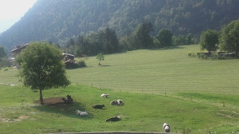 Famiglia Cooperativa Valle Di Ledro