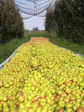 Azienda Agricola Mantovani