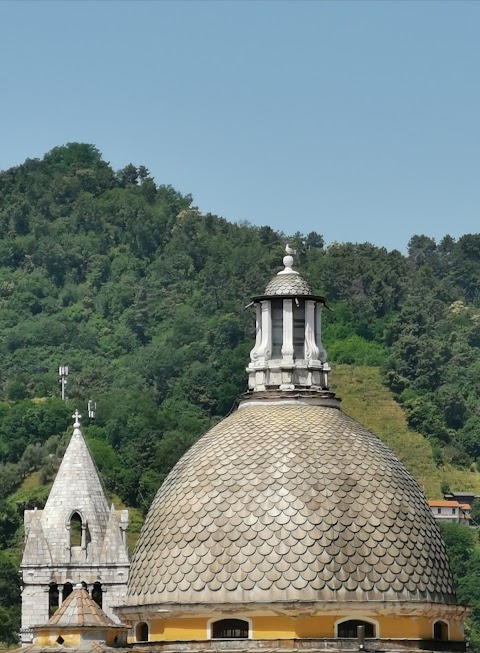 Azienda U.S.L. 1 Di Massa E Carrara Gonad