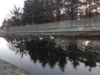 Naviglio di Bereguardo - Tratto Abbiategrasso