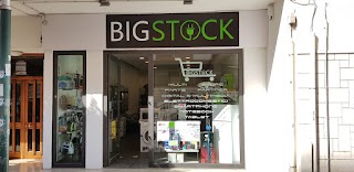 BigStock Latina