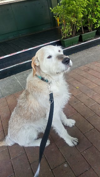 Ambulatorio Veterinario Drssa Silvia Degli Esposti