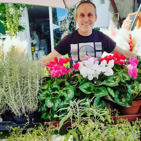 Il Paradiso Dei Fiori di Liquori Nicola