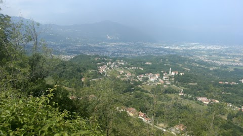 Trattoria Vecchio Vinile