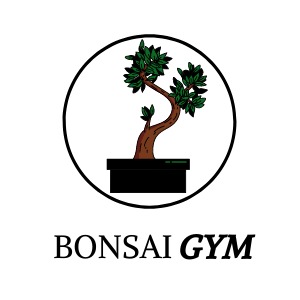 Bonsai Gym Sulzano BJJ & Fitness