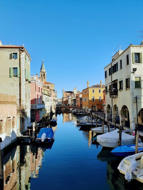 Vidal Venice Tours