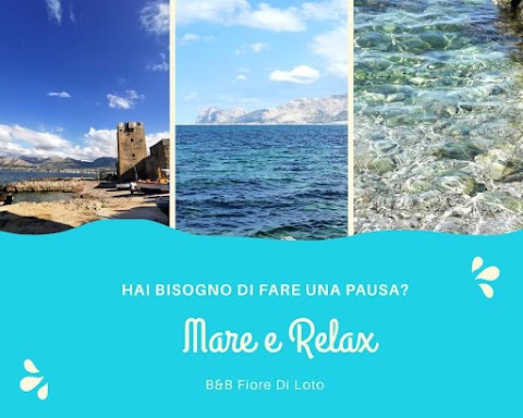 B&B Fiore di Loto