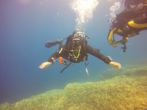 BIKINI DIVING - Centro subacqueo - Immersioni Banco di S.Croce - Punta Campanella - Capri