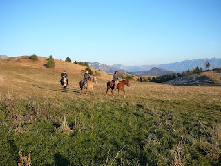 Ipposvago - scuola trekking a cavallo