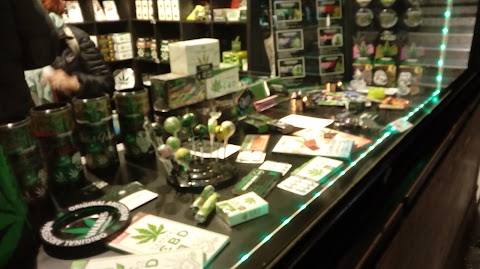 Cannabis Store Amsterdam Venezia