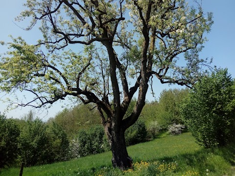 Cascina Valle del Serro