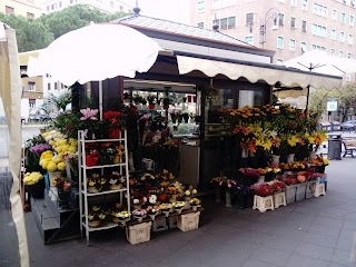 Fiori e Piante di Paolo