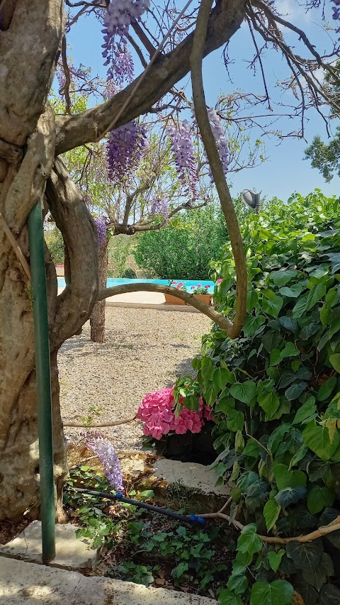 Trullo Papavero Alberobello