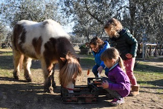 Fattoria Didattica il Rospetto