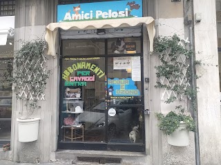 Amici Pelosi