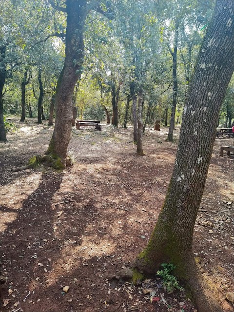 Centro Visite Bosco delle Pianelle