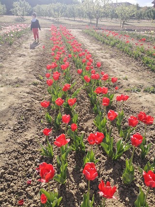 Azienda Agricola L'Orto Smeraldo