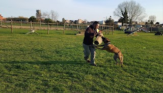 A.S.D Highlander Centro Cinofilo SCUOLA ADDESTRAMENTO CANI