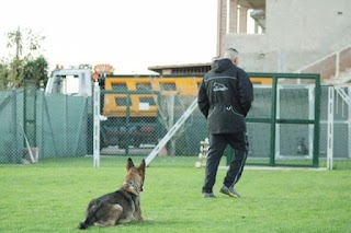 Scuola Addestramento Cani Centro Cinofilo Dinamic Dog A.S.D.