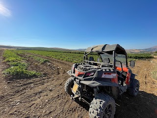 SEGESTA TOUR 4X4