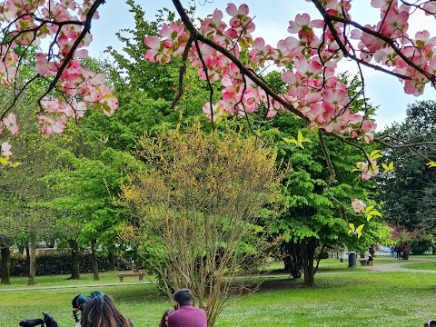 Parco Giochi del Castello