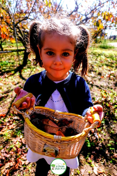 Il Salotto Delle Fiabe - Scuola dell'Infanzia-Asilo Nido-Eventi Outdoor-Campo estivo