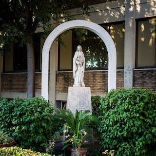 Istituto Pio XII