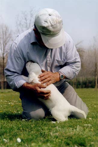 La Cascinetta Allevamento e Pensione Cani Alba