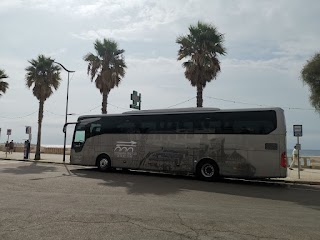 Cooperativa Trasporti di Riolo Terme