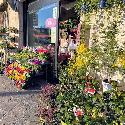 Fioreria Piccolo Fiore Ferrara | Flower Design