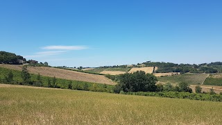 Azienda Agricola Tre Monti S. Anna