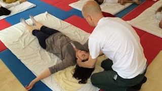 Shiatsu ShinTai School