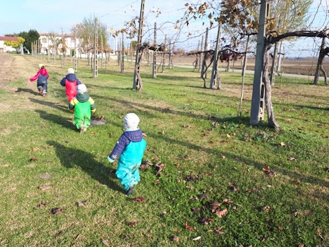 Agrinido di Capolavia - Asilo nido in famiglia