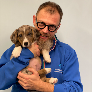 San Bartolomeo - Ambulatorio Veterinario