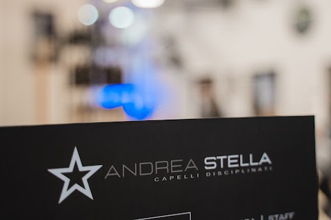 Andrea Stella Capelli Disciplinati