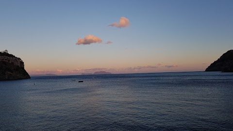 Lunaria Ischia