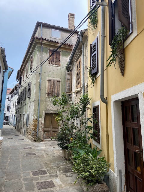 Izola