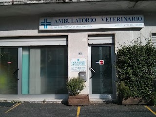 Ambulatorio Veterinario Capitanio Dott. Massimo