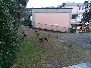 Stazione ferroviaria di Arenzano