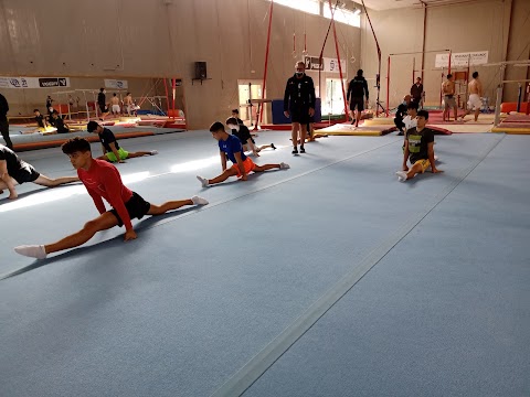 Federazione Ginnastica d'Italia