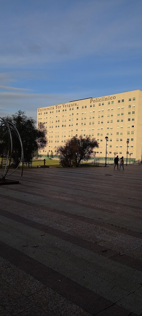 Università degli Studi di Roma "Tor Vergata"