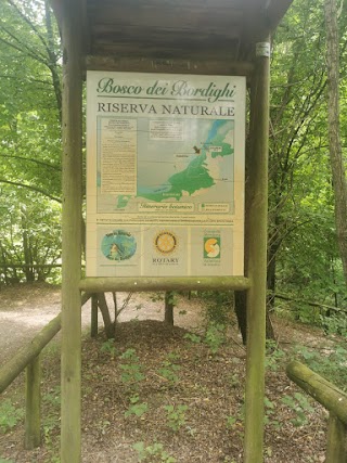 Riserva naturale "Bosco dei Bordighi"