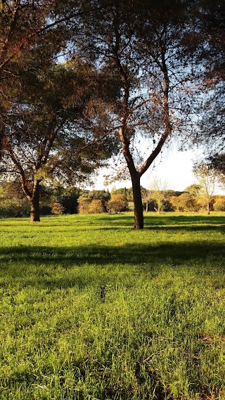 Teatro Del Parco Di Tor Tre Teste