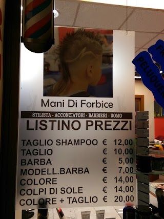 Mani di Forbice