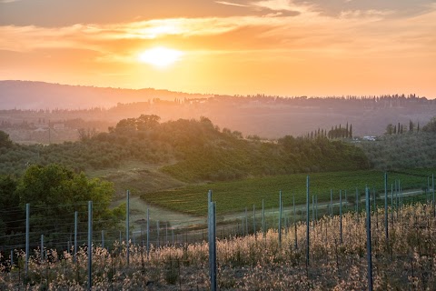 Podere San Michele