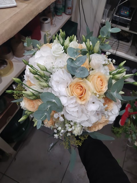 Consegna fiori a Marcon - Fioreria Sara & Francesca