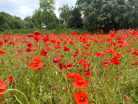 CONSORZIO AGRARIO DEL NORDEST | Agenzia di Castelnuovo del Garda