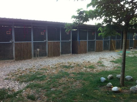 Dog Hotel di F.lli Manzi